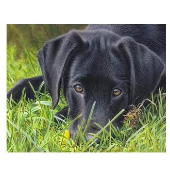 Черен Лабрадор 5D Кръгла, квадратна Бродерия направи си Сам Пълна Диамантена живопис Комплекти Мозайка Кученце Кучето Снимки Планински кристал ArtZP-1564